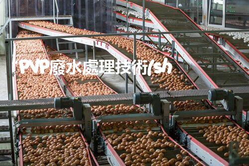 “PVP廢水處理技術(shù)，綠色環(huán)保新篇章”
